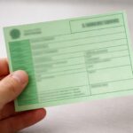 Où se trouve le numéro de la carte verte dans le cadre de votre assurance automobile ?